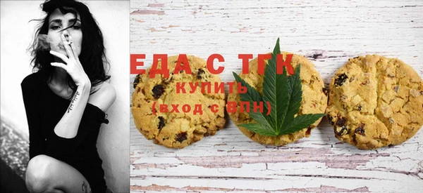 метамфетамин Ельня