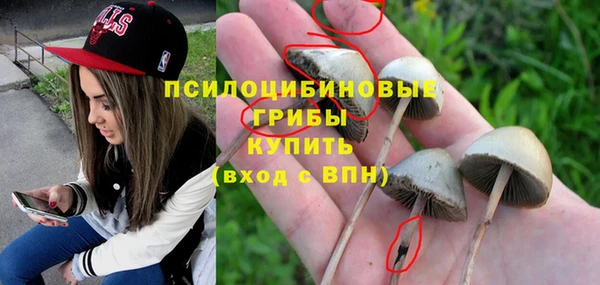 метамфетамин Ельня