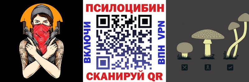Купить закладки Тутаев Псилоцибиновые грибы Magic Shrooms